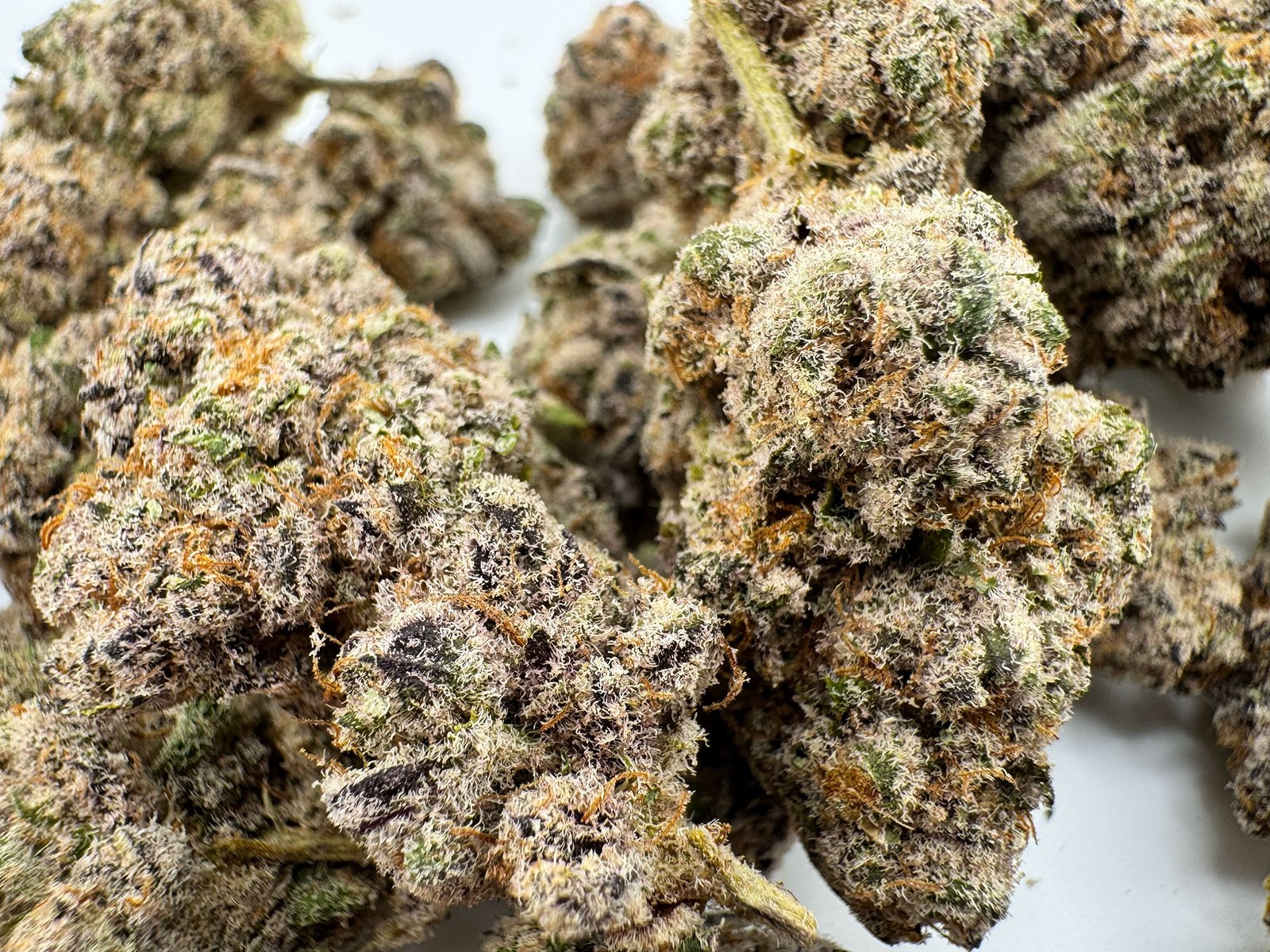 Speakeasy Cannabis Co THCa flower